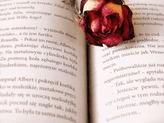 Behind Story & 러닝후기