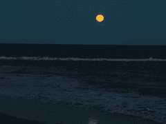 Throuple 04: 바다의 솔직함