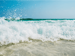 [청명백천] 바다가 보이는 교실에서 9(完)