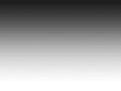 전하지 못한 편지.