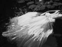 𝐎𝐮𝐫 𝐒𝐭𝐨𝐫𝐲