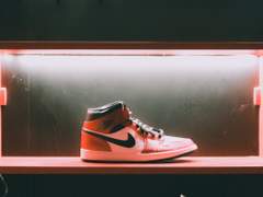 모두가 강백호를 좋아해 上