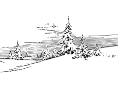 해럴드 화이트 관찰일지