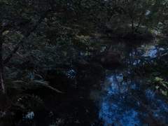 [명헌태섭]흐르지 않는 물 1