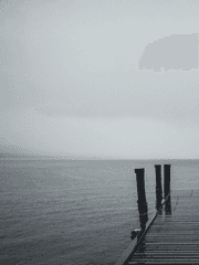 갑자기 너무 쓰고 싶었다