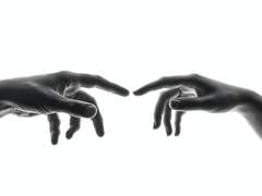 겨울은 오지 않는다