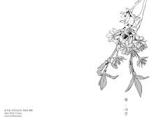 <봄 · 사진> 회지 샘플 (통판종료+후기)