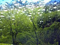 1997년 3월 28일 사주