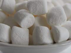 [슈짐] 보는 사람만 *&같은 연애_절망의 녹화편