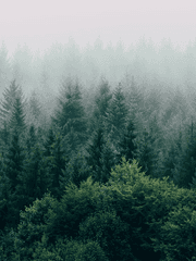 刀x主/主x刀/검사니60분/내키는대로