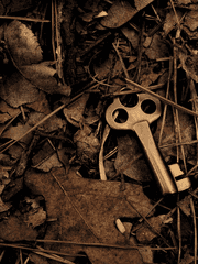 벨라도나의 수기 