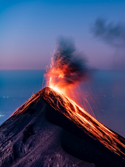 친구에게 헌정하는 글