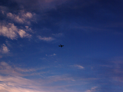 [동오낙수] 성장기 1