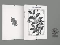 발행 개인지 목록