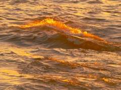 [마르코] 친애하는 나의 종말에게 (6)