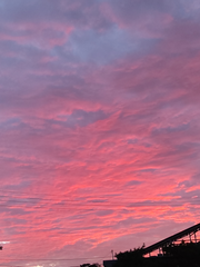 레하 팬소설 단편 모음집