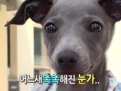 빌어먹을 로판세계_01