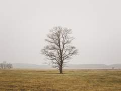 [단편] 어떤 단어의 정의