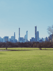 [문호 스트레이독스] 과유불급