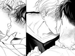 키스 하는 강호견