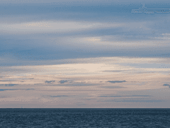 형이 사랑을 고백했다.(5)