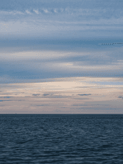 형이 사랑을 고백했다.