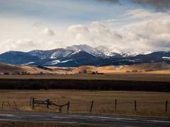 [캐스딘] owlhoot (1/4)