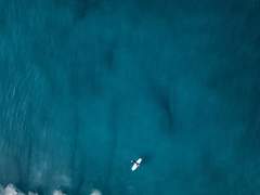 호열백호 : 아가미 (3)