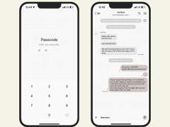 393. Highlighter 08 (Brown)