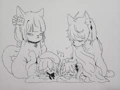 원신-고양이 4신