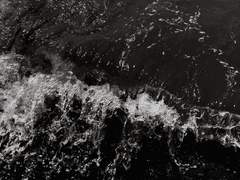 바다에서 안식을