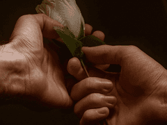 페르세포네를 위하여