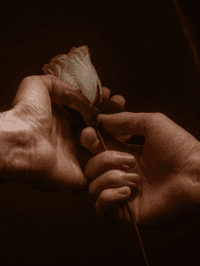 사쿠아츠 - 페르세포네를 위하여