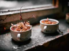 [ROTTMNT/랖렝] Ruin