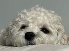 2023 년 5 월 1일 날씨 맑음