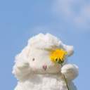 암모생각없을무