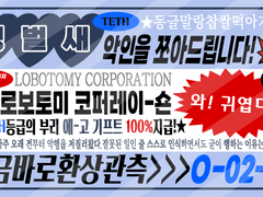 로보토미 징벌새 찌라시(팬아트)