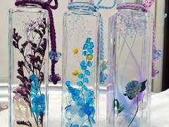 하바리움, 하바리움 볼펜 타입