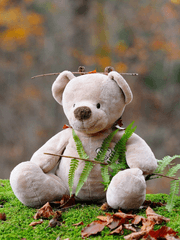 [훈육]아웅다웅 