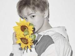 꽃집의 고양이는 예뻐요 5