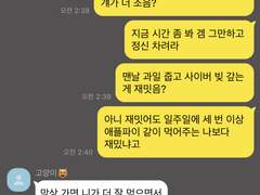 밈으로 보는 고양이 공략하기