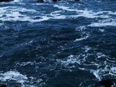 행맨루스터 닭이 먼저인가, 달걀이 먼저인가 14