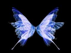 새벽 일지 7280-82