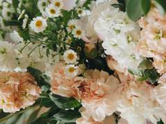 [쿱부] 음주는 1월 1일부터