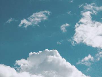 그것이 자유라는 것을 자각했다