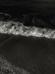 To. Us: 우리에게