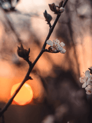 추운 겨울의 끝에