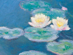 24.2.24.토. 40회 업로드 오류에 관하여