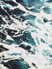 𝑺𝒏𝒐𝒘𝒃𝒐𝒖𝒏𝒅: 전쟁의 끝