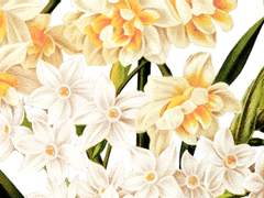 [우성명헌] 단문